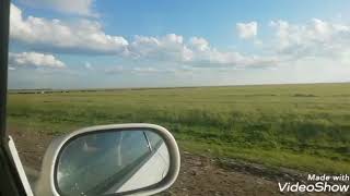 Саумалкол/аптека/салат с грядки Саумалкол/аптека/салат с грядки