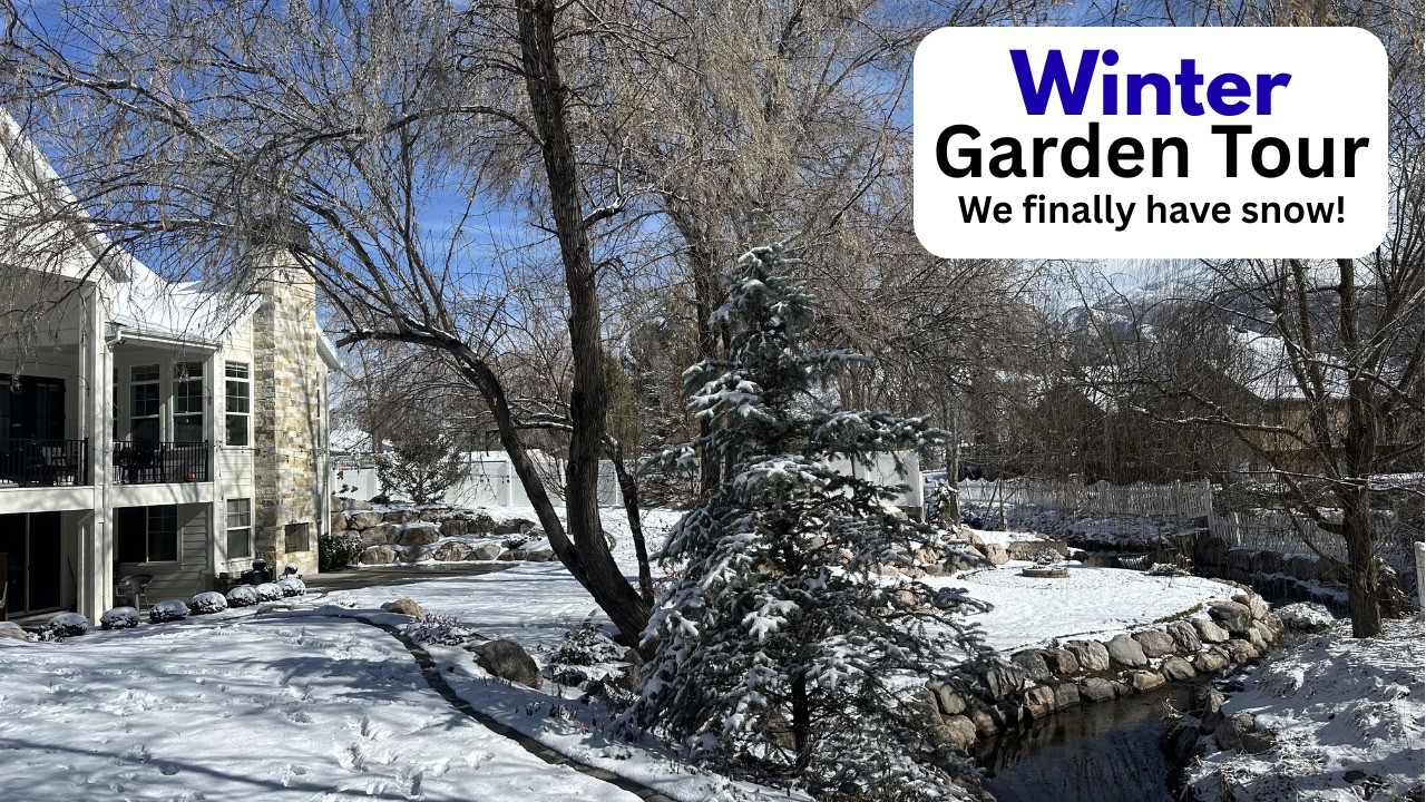Winter Garden Tour! We finally have snow!