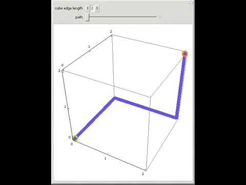 Paths Through a Cubic Lattice