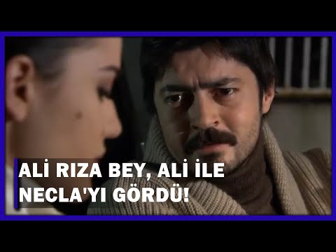 Ali Rıza Bey,Ali İle Necla'yı Gördü! - Yaprak Dökümü 142.Bölüm