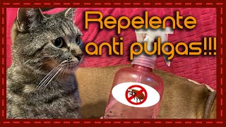 ¡Adiós a las pulgas! Aprende a hacer un repelente casero para gatos