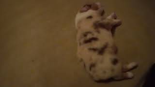 Rubys Group On 10.15.21