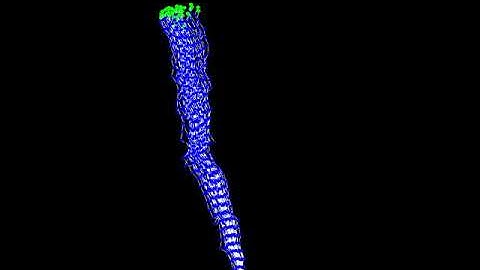 Evolving Virtual Creatures - Reaching II