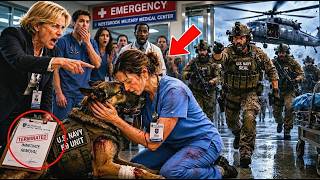 They Fired the Nurse for Saving a Military K9—Then Navy SEALs Stormed the Hospital Looking for Her