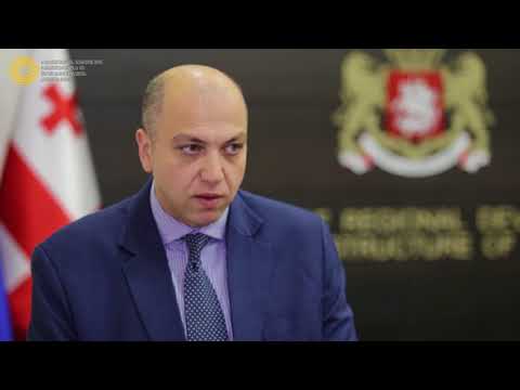 შიდა და ქვემო ქართლში დაგეგმილი პროექტების ბიუჯეტის განხილვა