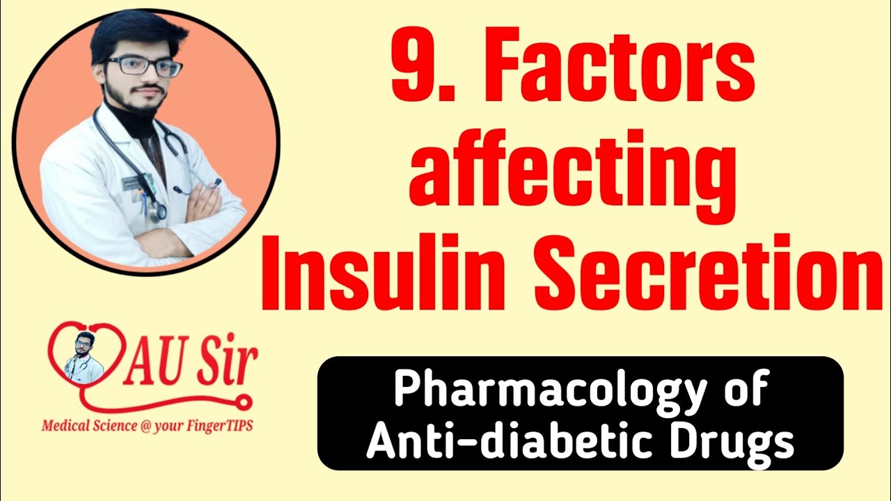 Photo inspiration: Picture Idea: Factors Affecting Insulin Secretion Antidiabetic Drugs