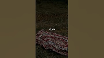 سورة السجدة|4-6|القارئ:#ياسر_الدوسري #قران #quran #راحة_نفسية #قران_كريم  #تلاوة_هادئة