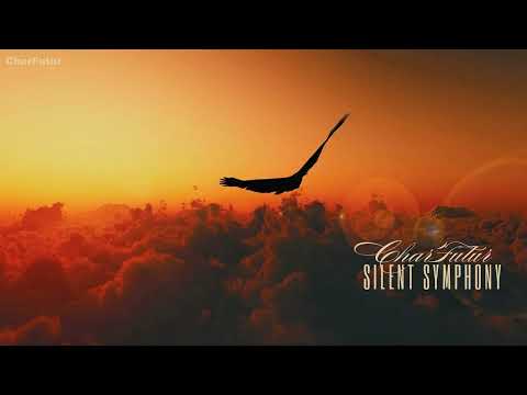 CharFutur - Silent Symphony