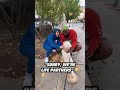 Jack Harlow and Druski Run Into A Dog On The Street  😭