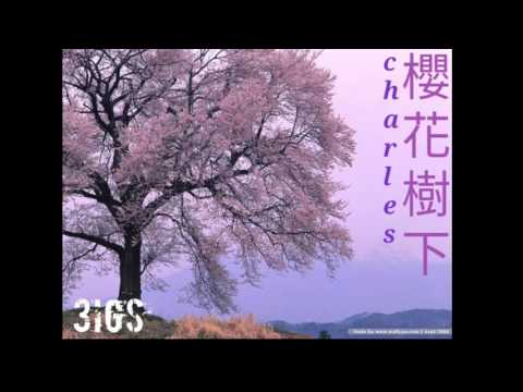 《櫻花樹下》charles