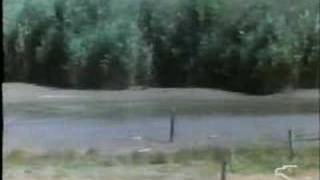 Klon (il film) parte 1 Klon (il film) parte 1