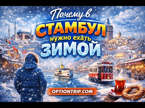 Почему в Стамбул стоит ехать зимой | Цены, атмосфера и настоящая жизнь #европа #турция #стамбул