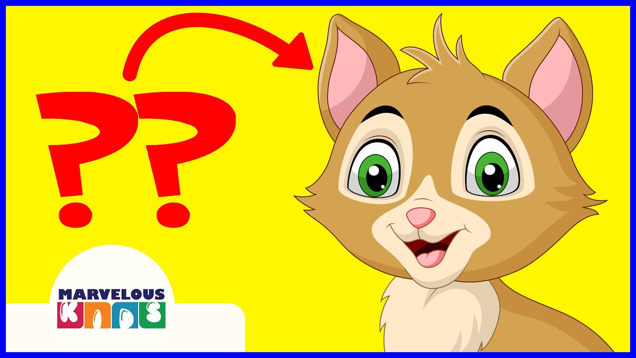 Cat - parts of the body - English educational video | Marvelous KIDS