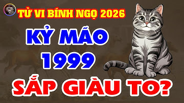 Tử Vi 2026: Chi Tiết Tuổi Kỷ Mão 1999 Nam Nữ Mạng Năm Bính Ngọ | Hà Nhung Tử Vi