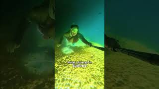 🇺🇸SciWorthy can I go down to swim here?#swim#usa#stair#tiktok #fyp#water#LearnOnTikTok #DidYouKnow 🇺🇸SciWorthy can I go down to swim here?#swim#usa#stair#tiktok #fyp#water#LearnOnTikTok #DidYouKnow