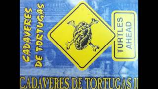 CADAVERES DE TORTUGAS-Meaningless Suicide