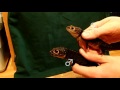 Beginning of video
