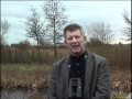 Stephen Moss Tells The BTO Why The Sedge Warbler Is One Of His Favourite Birds Stephen Moss Tells The BTO Why The Sedge Warbler Is One Of His Favourite Birds
