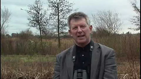 Stephen Moss tells the BTO why the Sedge Warbler i...