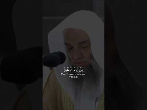 فضيلة الشيخ أ د فيصل غزاوي يعلمون ما تفعلون