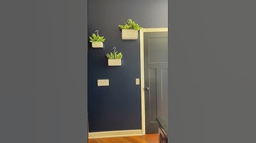 No paint? try this #shorts #organization