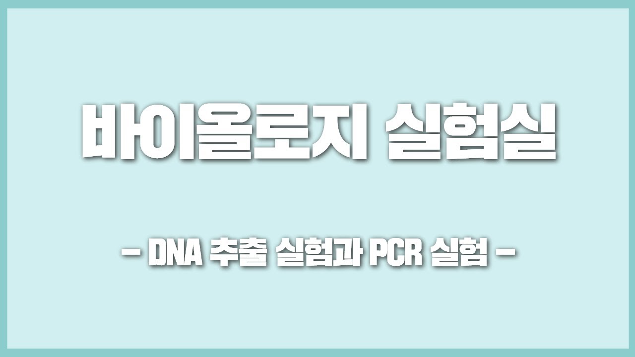 [바이올로지 실험실]DNA 추출 실험과 PCR 실험