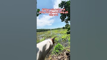 6700mv vườn buổi đang thu có ao cá khu dân cư giá siêu rẻ 1.1 tỷ đường Ôtô sổ sẵn