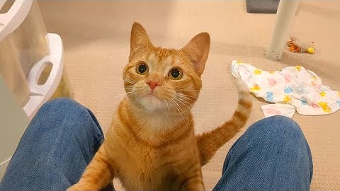 You have much more to give me human