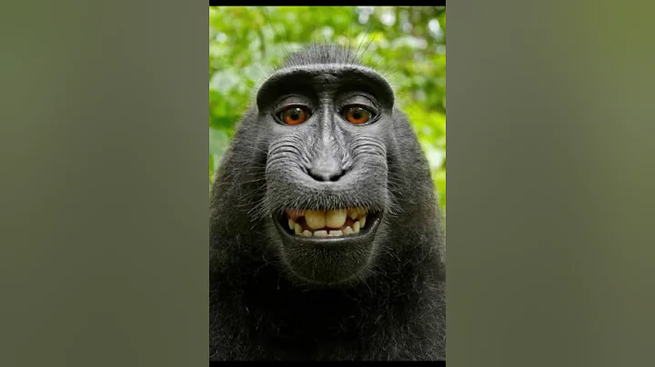 KIDS/PEOPLE CRYING IN ROBLOX STEAL A BRAINROT??? Part 4