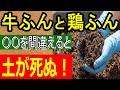 【家庭菜園】牛ふんと鶏ふんの違いは？失敗しないための土作りと肥料の基本を農業のプロが解説