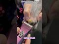 Look What Was Growing Around Every Toe 😳 #dogcare #viral