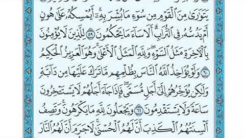 تلاوة سورة النحل من الآية 61 إلى الآية 64 )