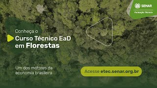 Conheça o Curso Técnico EaD em Florestas do Senar