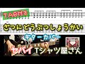 【TAB付き】ヤバイTシャツ屋さん「ざつにどうぶつしょうかい」ギターカバー