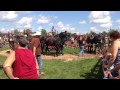 Horse powered well drilling  threshing