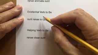Verb to be sum esse fui