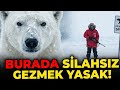 Dünyanın En Kuzeyindeki Yasak Şehir: Svalbard ❄️ (Ölmek Bile Yasak!)