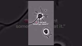 Rewire Your brain #neuroscience