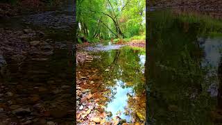 🇪🇸 🌳 🌄 Río Támega (Verín ⇒ Monterrei) #Senderismo #Galicia #España #Shorts