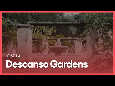 Wideo: Czy ogrody Descanso są otwarte?