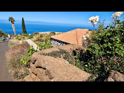 La Palma WetterCheck, Mittwoch 21. Mai | Gibt viel zu erzählen. Zeige euch Gärten u. Pflanzen