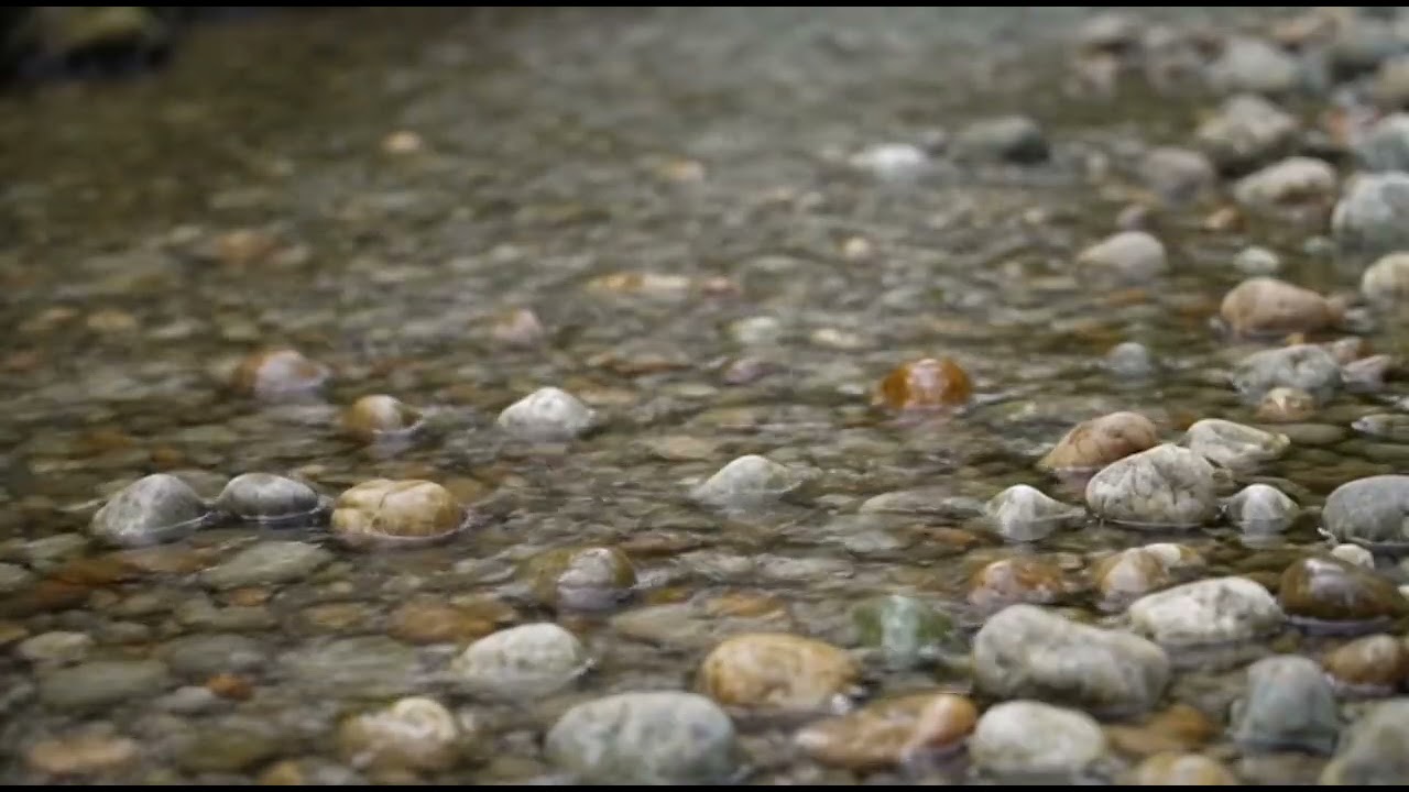 Soft River Water Flow 🌿 1 Hour Calm Background 