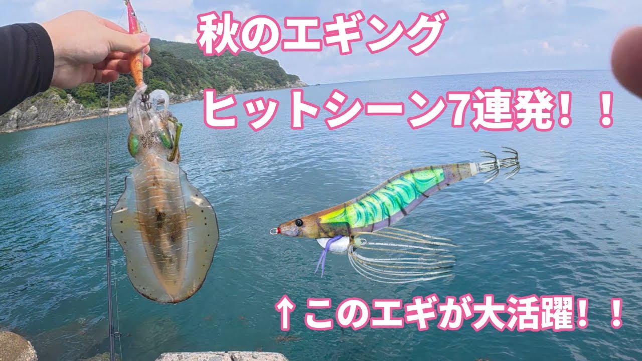 秋のエギング！ヒットシーン7連発！ただ巻き&スレイカ特攻エギが大活躍！