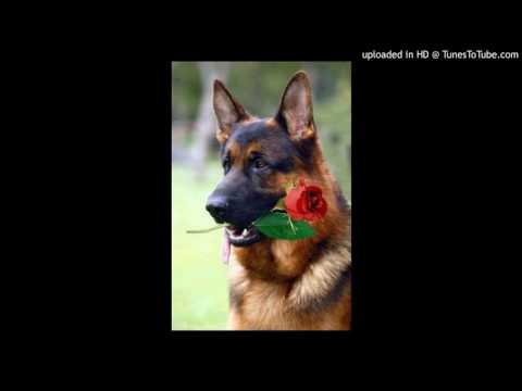 Baby Come On Home - Led Zeppelin