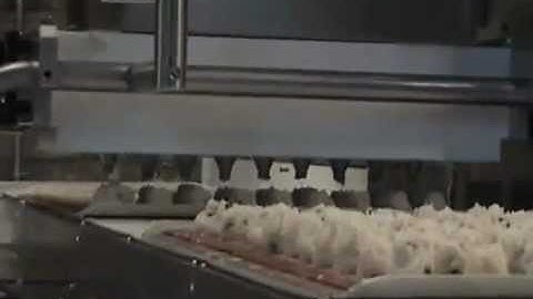 EZFILL Multi Drop Cookie Machine