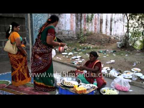 Fortune telling and parrot astrology in India Fortune telling and parrot astrology in India