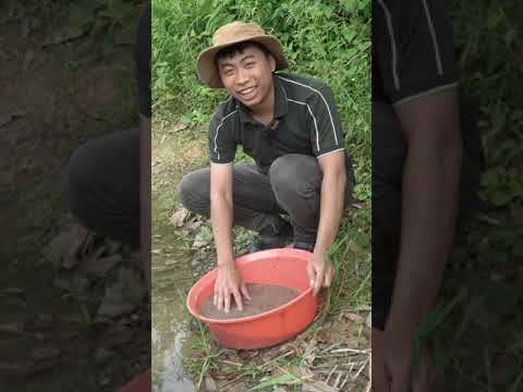 BÍ QUYẾT TRỘN MỒI CÂU "ĐÚNG CÁCH" | VIETNAM FISHING TV