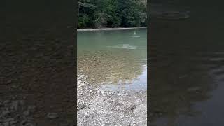 Zwitserland2020 stenen in de rivier