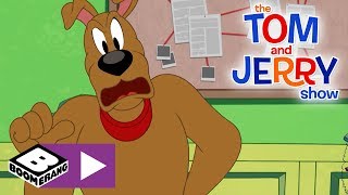 Tom takes on the case of a mystery source laughter. and jerry
tuesdays! new & video every tuesday boomerang uk channel! 🚩
subsc...