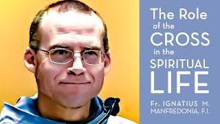 The Role of the Cross in the Spiritual Life - Fr. Ignatius M. Manfredonia, M.I.M. Conference